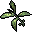 2779
