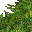 3306