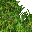 3307