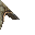 3439