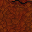 363