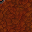 377