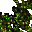 4125