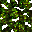 4129