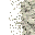 4597