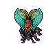 Lacewing Moth