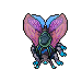 Hibernal Moth