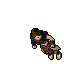 Arena Champion