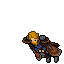 Moth Cape