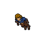 Fencer